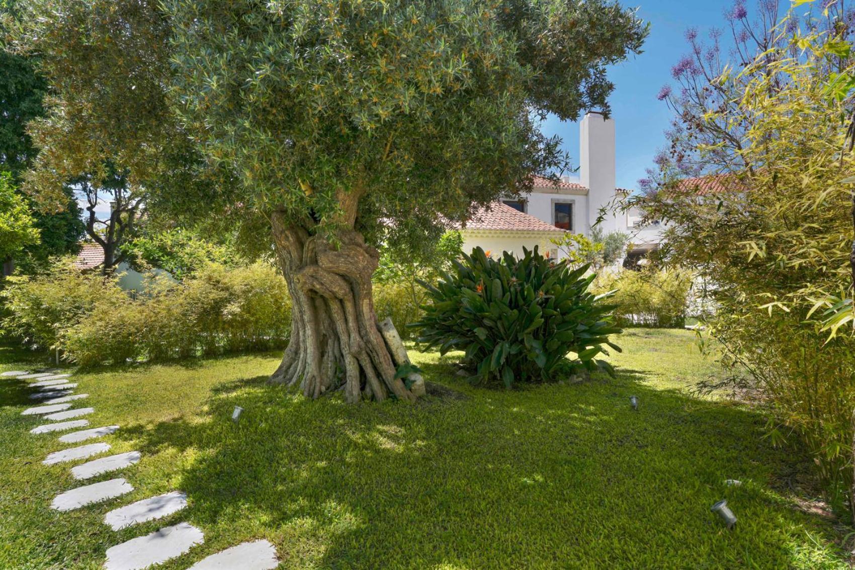 Appartement Jardim De Copas à Alcochete Extérieur photo
